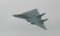 F-14 flyby