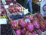 A colorful display, complete with Dragon Fruit