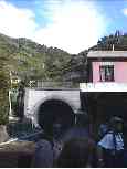 Life goes on, above the train tunnel in Vernazza...
