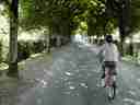 This tunnel of trees leads you to Villandry