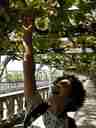 Let's try a grape! copyright 2002 by B. Hom-Schnapp and R. Schnapp