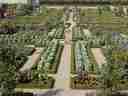 How about a formal vegetable garden? copyright 2002 by B. Hom-Schnapp and R. Schnapp