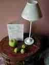 Our booty: Figs from the path to the Chateau de Chinon, and a granny smith from Villandry! copyright 2002 by B. Hom-Schnapp and R. Schnapp