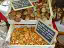 Girolles mushrooms Girolles mushrooms