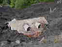 a home, buried by lava