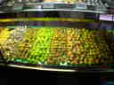 still more marzipan: brown and green figs, tomatoes, ripe apricots, apples still more marzipan: brown and green figs, tomatoes, ripe apricots, apples